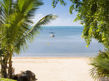 The French describe their ideal home in Mauritius