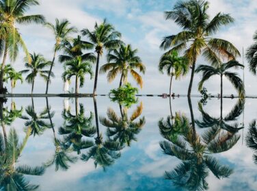 Tips for investing in Mauritius