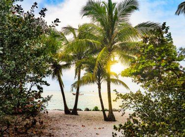 The keys to investing in a property in Mauritius