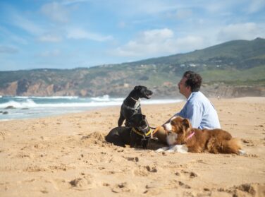 Partir vivre à Maurice avec son animal de compagnie