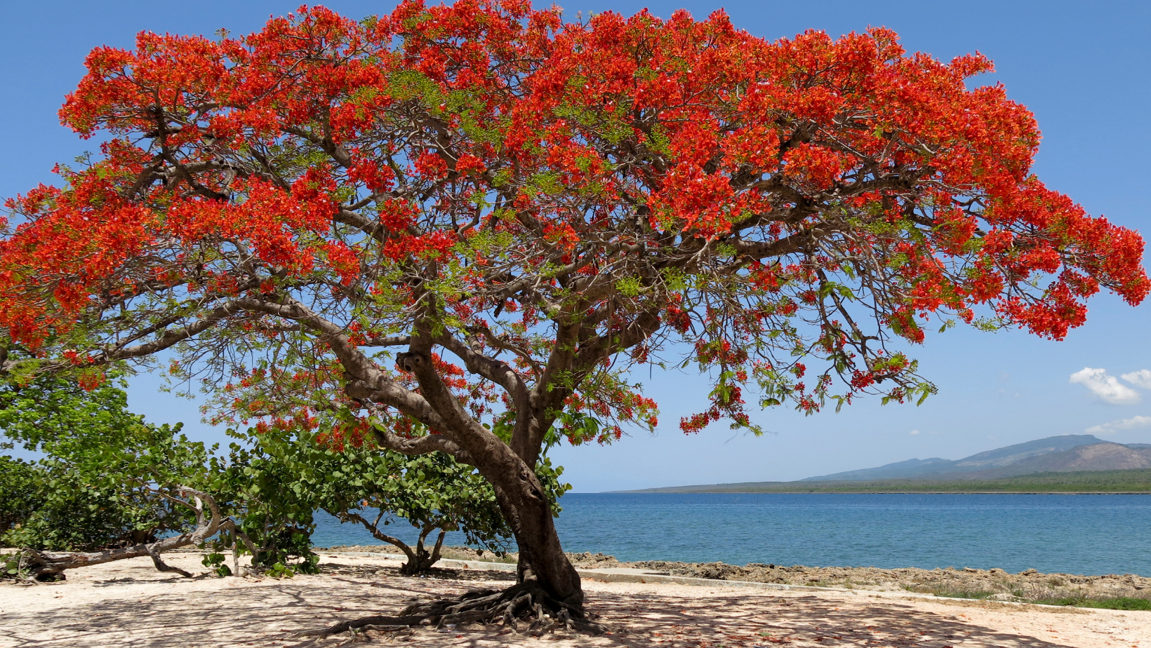 fêtes fin d'année_ile_maurice_Villa-vie