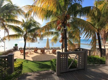 How do eco-homes in Mauritius combine modernity and durability?