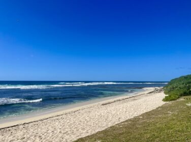 Acheter un bien immobilier à l’île Maurice en devises étrangères en 2026 : le guide essentiel pour expatriés